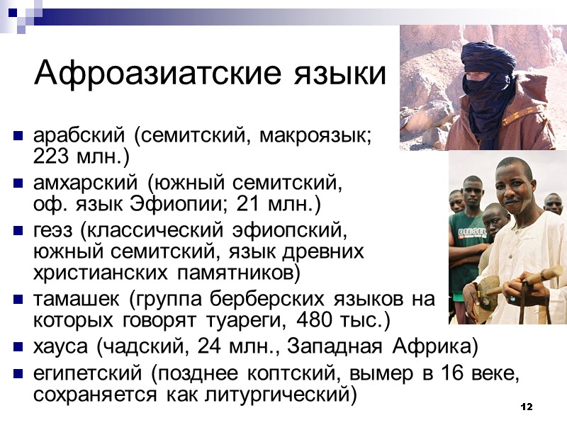 12 Афроазиатские языки арабский (семитский, макроязык;        